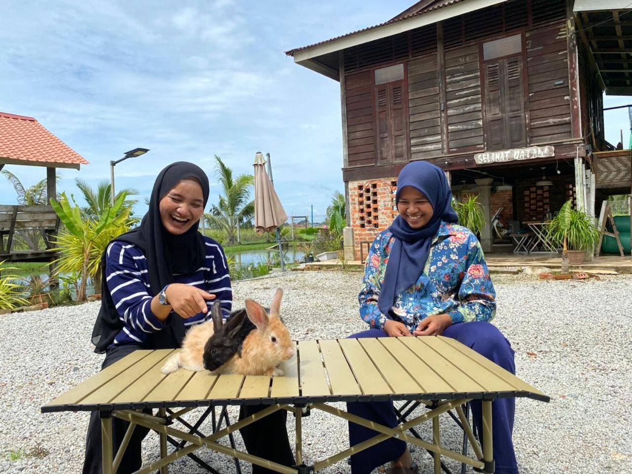 Dangau Sala D'Kontena Alor Setar Exterior foto